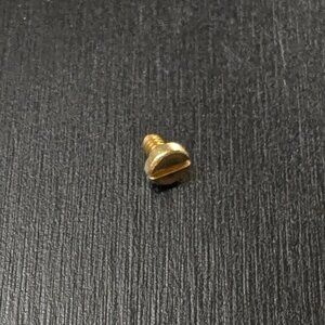 Replacement Screw for Charles Revson The Love Bracelet + Other Brands